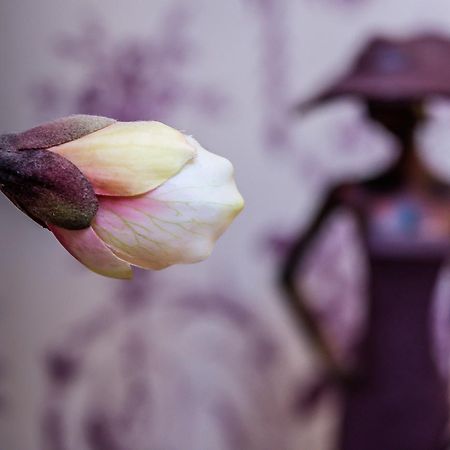 Plas Llwyd 兰迪德诺 外观 照片